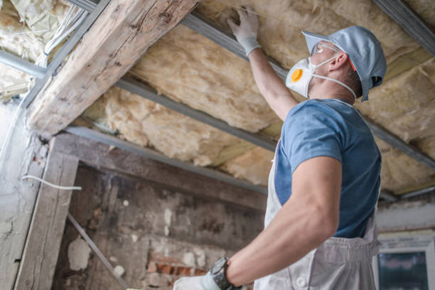 Best Insulation for Specific Applications in Anacoco, LA