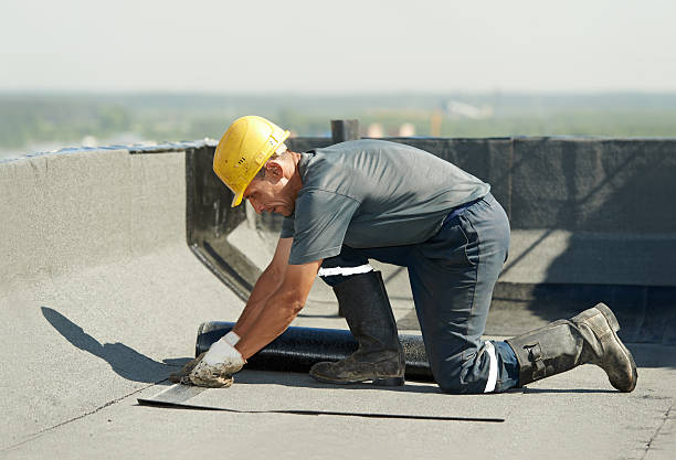 Professional Insulation Contractor in Anacoco, LA