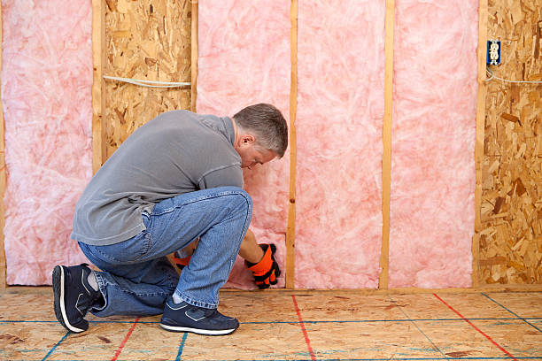 Professional Insulation Contractor in Anacoco, LA